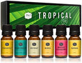 &J Fragrance Oil Tropical Set | Banana, Coconut, Awapuhi and Seaberry, Pineapple, Mango, Ocean Breeze Candle Scents for Making, Freshie Scent, Soap Making Supplies, Diffuser