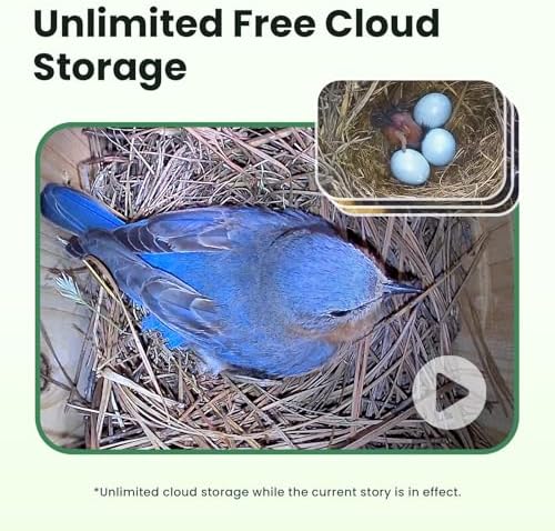 Birdfy Bird House with Camera & Metal Cladding, Lifetime Free AI Bird ID