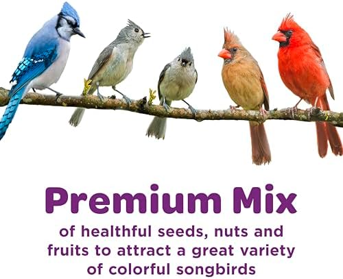 Kaytee Nut and Fruit Blend, 20-Pound