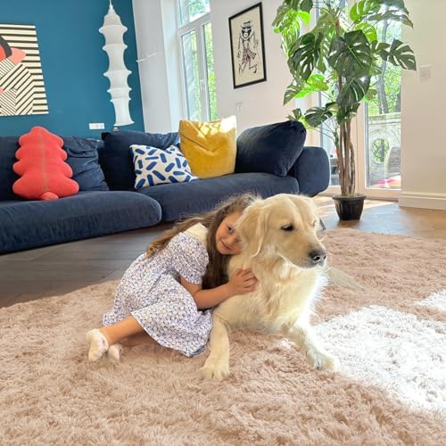 OLANLY 5x10 Machine Washable Large Area Rugs for Living Room, Bedroom, Soft Fluffy Shaggy Bedside Rug, Indoor Floor Carpet for Kids Girls and Boys, Dorms, Nursery, Home Decor Aesthetic, Beige