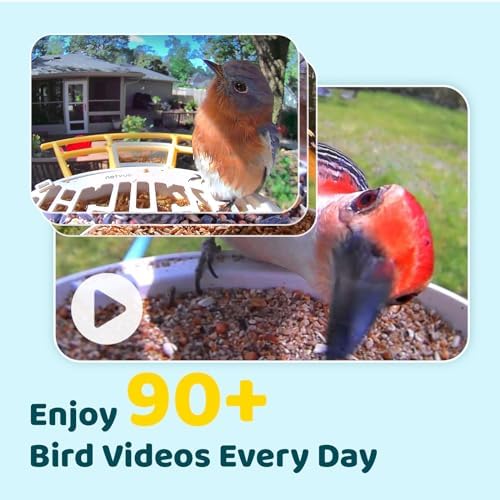 NETVUE by Birdfy Smart Solar Birdfy Bird Feeder with Camera for Outdoor