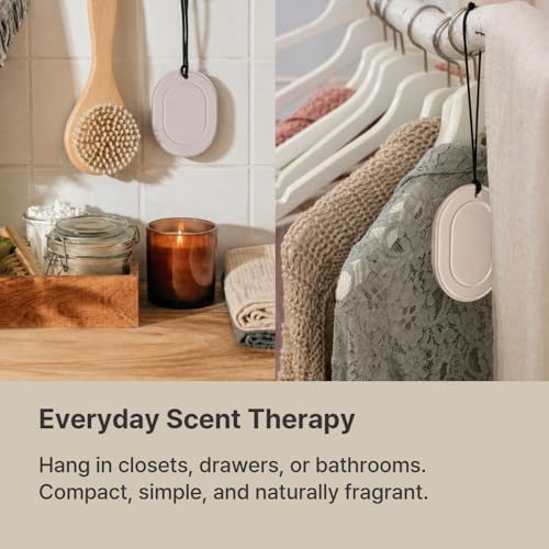 Hanging Aroma Stone Diffuser, Odor Eliminator & Air Freshener for Closet, Suitcase, Drawer, Passive Ceramic, Reusable, 2 Pack