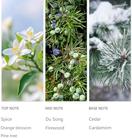 Hotel Waterless Diffuser Oil Winter Pine 120ML