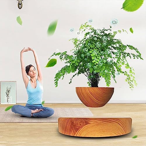 Floating Magnetic Levitating Flower Pot Bonsai Air Plant Pot Planter Potted for Home, Office & Desk Decor Gift