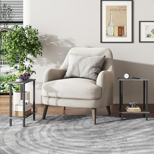 TUTOTAK Narrow Side Table, 2-Tier Small End Table for Couch