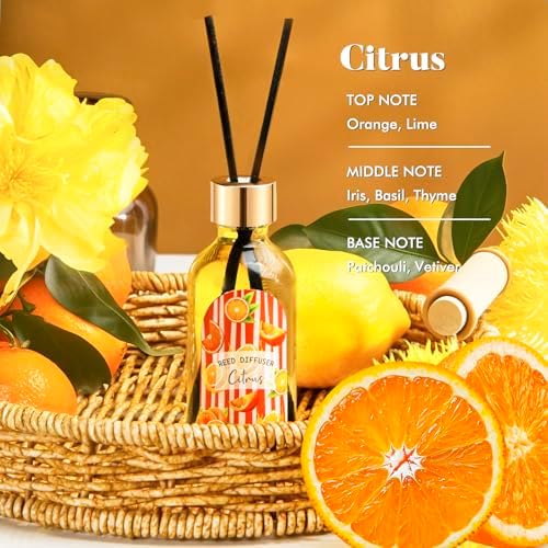 3 Pack Reed Diffuser Set, Linen Eucalyptus Citrus Scented Oil Reed Diffusers for Home, Bathroom, Office Decor, Aromatherapy Diffuser with 15 Sticks, 1.7 Fl. Oz Each, Total 5.1 Fl. Oz