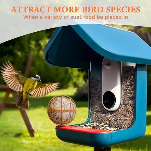 Suet Ball Holder Accessories for BirdBuddy Feeders in Metal
