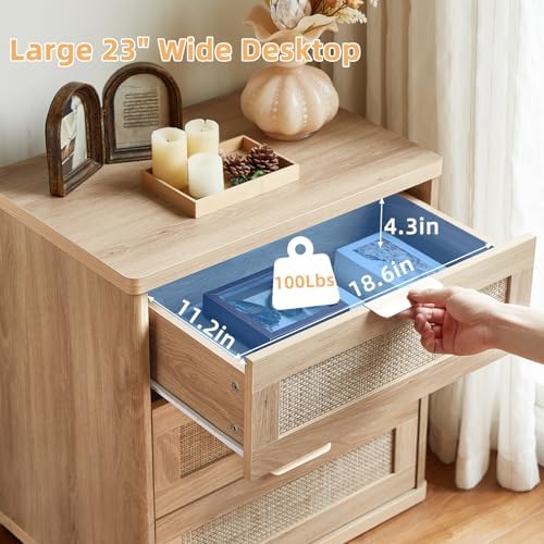 LEYAOYAO Rattan 23" Nightstands Set of 2 with Drawers for Bedroom