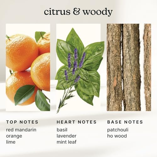 Homedics SereneScent Waterless Diffuser Oil Refill — Mandarin Basil (120ml)