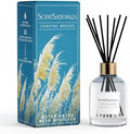 ScentSationals Coastal Breeze Water-Based Reed Diffuser - 5 FL OZ