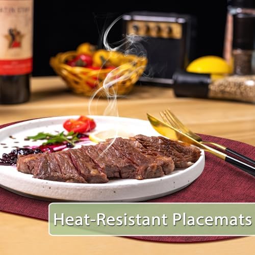 Faux Leather Oval Placemats Set of 12, Wine Red