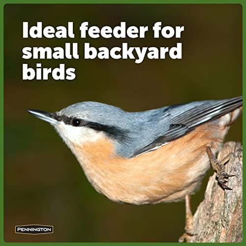 Pennington Songbird Lantern Bird Feeder, Ideal for Small Birds, 1 Pound Capacity (Pack of 4)