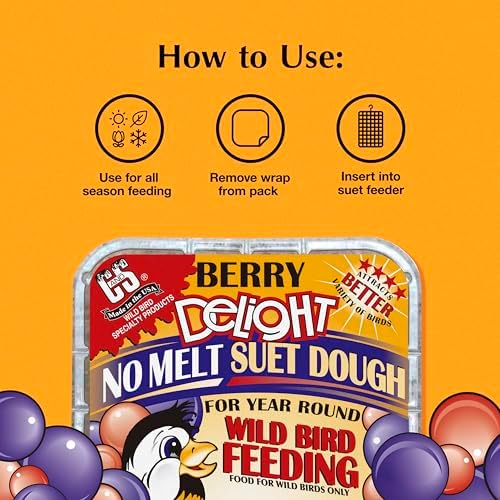 C&S Berry Delight No Melt Suet Dough, Suet Cakes for Wild Birds