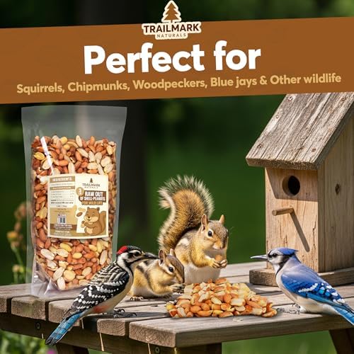 11 LB - Raw Shelled Peanuts for Squirrels, Out of Shell Peanuts for Birds and Wildlife- Squirrel Food, Wild Bird Seed - Grown in The USA