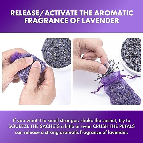 Lavande Sur Terre French Lavender Sachets for Drawers and Closets Fresh Scents, Set of 24, Home Fragrance Sachet for Wardrobes Closets, Purple, LV-C-24-1