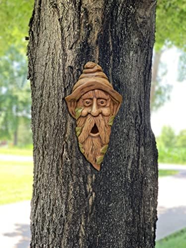 Red Carpet Studios Outdoor Tree Face Birdhouse, 14", Long Face Hank