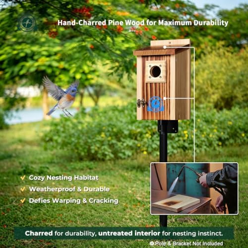 SISTERBIRD 2 Pack Bluebird House, Premium Blue Bird House, Warming Gifts