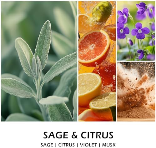Molensun Sage Citrus Scented Candle, Soy Wax 7 oz