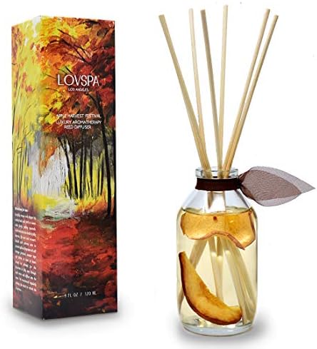 Reed Diffuser Set - Apple Harvest Scented Diffuser with Sticks