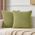 Kevin Textile Soft Corduroy 20x20 Inch Pillow Covers 2 Pack, Grass Green