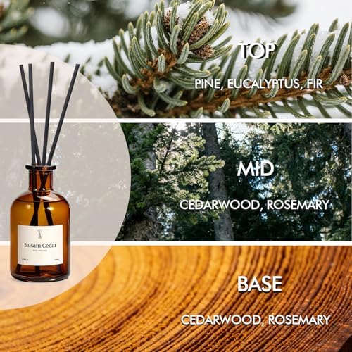 Balsam Cedar Reed Diffuser Set - Includes Reed Diffuser Sticks, 2 Pack Fragrance Oil and Glass Bottle, Reed Diffusers for Home Bathroom Shelf Decor & Gift, Air Fresheners (8.12 fl.oz)