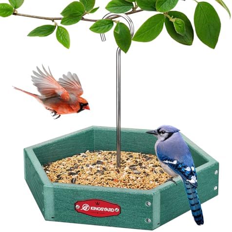 Kingsyard Hanging Platform Bird Feeder for Outdoors, Deep Tray, Green