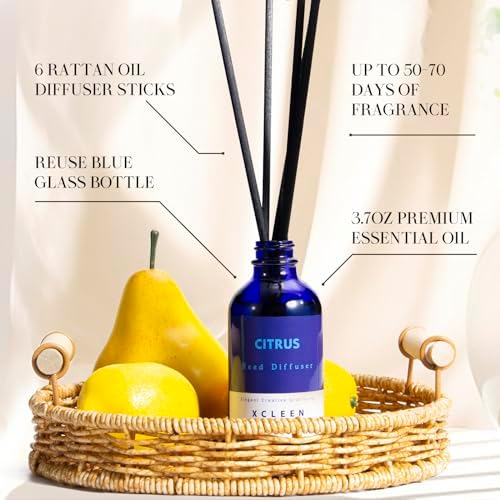 Xcleen Citrus Scented Reed Diffuser, Orange, Lime & Lemon Oil Reed Diffuser, Real Citrus! Holiday Home Fragrance for Bathroom Office Decor (Pack of 3)