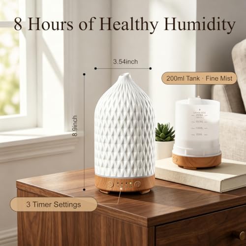 Gooamp 200ML Ceramic Essential Oil Diffuser for Home, Stone Diffuser