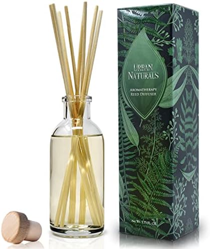 Urban Naturals Reed Diffuser Set, Vanilla Lime - Bathroom Shelf Décor