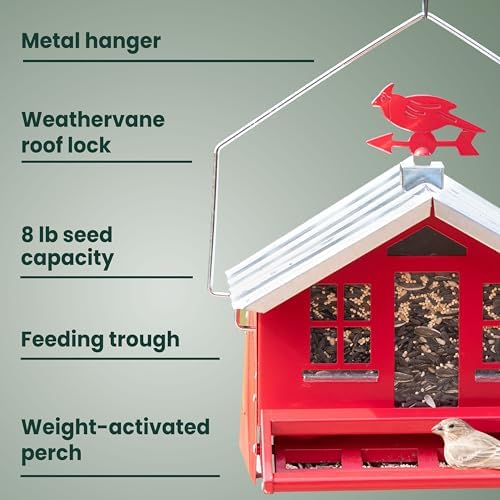 Perky-Pet Squirrel-Be-Gone II Country Style Bird Feeder, 8 lb Seed Capacity