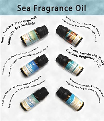 HIQILI Gold Coast Fragrance Oil for Diffuser, Candle & Soap
