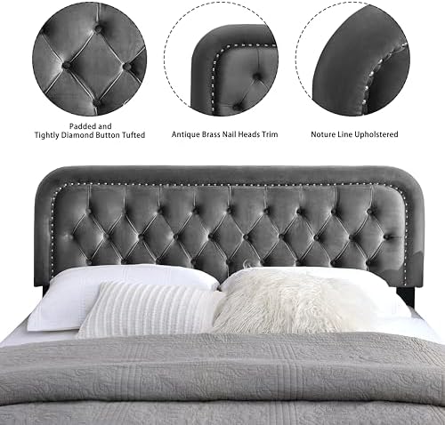 Tufted Upholstered Full Size Headboard only - Button Solid Wood HeadBoards with Adjustable Height - Modern Velvet Padded Bed Headboard - Easy Assembly - Nailhead, Gray