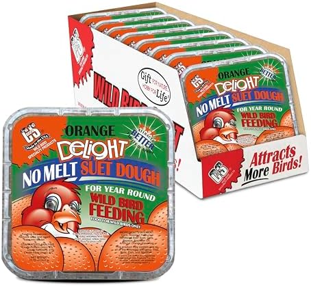 C&S Orange Delight No Melt Suet Dough, Suet Cakes for Wild Birds