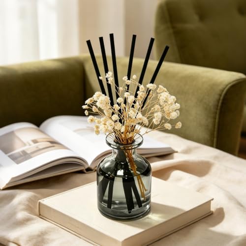 Brakula Reed Diffuser Set, Eucalyptus & Wild Mint Scent, 4.06 fl oz