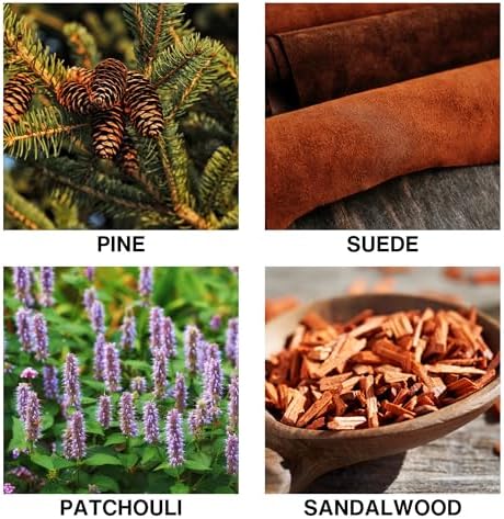 Wildwood Scent Reed Diffuser – Home Fragrance Diffuser with Pine, Suede, Patchouli & Sandalwood – Long Lasting Diffusers for Home Scented Aroma Sticks – 150ml