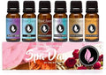 Eternal Essence Oils Spa Day Set of 6 Premium Fragrance Oils - Includes Lavender Breeze, Sweet Rain, Coconut Sandalwood, Black Fig & Honey, Patchouli Saffron, and Spa Scented Oils - 10ML