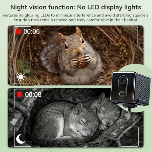 Smart Squirrel Box with Camera Solar Powered, 2K HD WiFi Squirrel House Camera with Auto Detection & Night Vision, Outdoor Squirrels Nesting Box with App Control (2.4GHz Only)