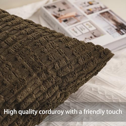 Aegero Pack of 2 Corduroy Decorative Throw Pillow Covers 22x22 Inch, Green