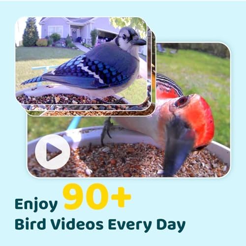 NETVUE by Birdfy Smart Bird Feeder with Camera for Outdoor, AI Bird ID