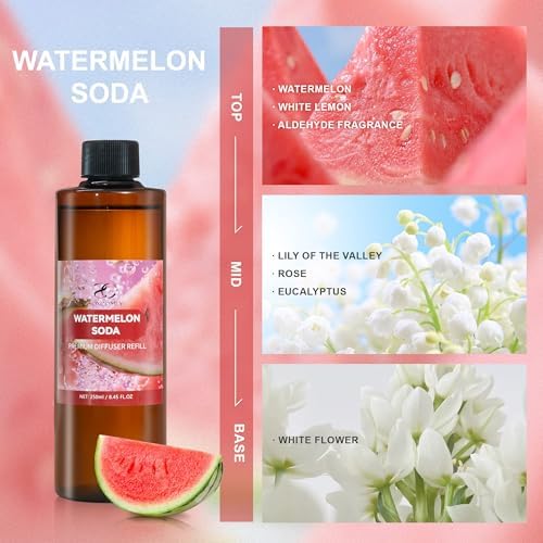 Diffuser Oil Refill, 250ml / 8.45 fl oz, Watermelon SODA - Reed Diffuser Oil Refill for Home Fragrance, Scented Oil for Reed Diffuser Bottles, Watermelon, Rose & Eucalyptus Notes