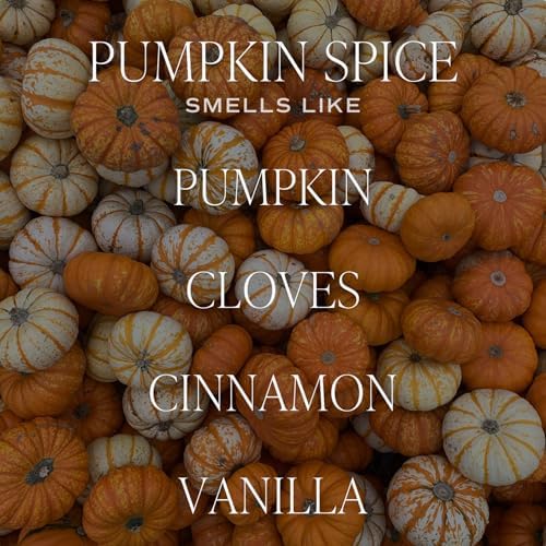 Sweet Water Decor Pumpkin Spice Reed Diffuser, Autumn Scented Premium Fragrance, Long-Lasting Air-Freshener for Home, Bathroom & Bedroom, Cozy Fall Gift for Women, Non-Toxic Oil, Lasts 4+ Months