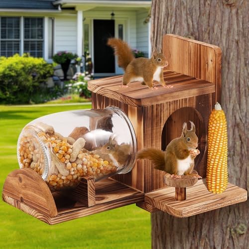 Squirrel Feeder, Wood Squirrel House, Squirrel Feeders for Outside Garden Tree, Chipmunk Feeder for Corn Peanuts, Removable Storage Bottle, 2 Stable Squirrel Stools