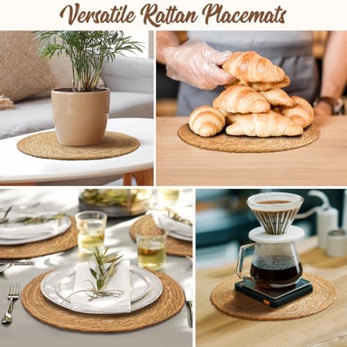 13.8 in Round Fall Placemats Set of 10, Woven Chargers for Dinner Plates