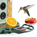 Kiwibit Complete Accessory Kit DIY Add-Ons Including Mini Hummingbird Feeder, 2 Fruit Holders, Jelly Feeder (Smart Bird Feeder NOT Included), Compatible with Kiwibit Bird Feeder