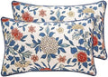 patdrea Designer Vintage French Throw Pillow Cover,12"x20",Set of 2