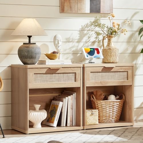 LEYAOYAO Rattan 23" Nightstands Set of 2 with Charger for Bedroom