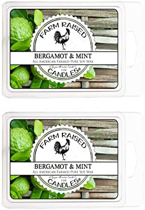 Bergamot Mint Soy Wax Melts, 2 Pack