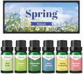 Spring Fragrance Oils, ESSLUX Premium Scented Oils for Home Diffuser, Soap Candle Making Scents, Refreshing Aromatherapy Essential Oil Gift Set, Rose & Lily, Peppermint Grass and More
