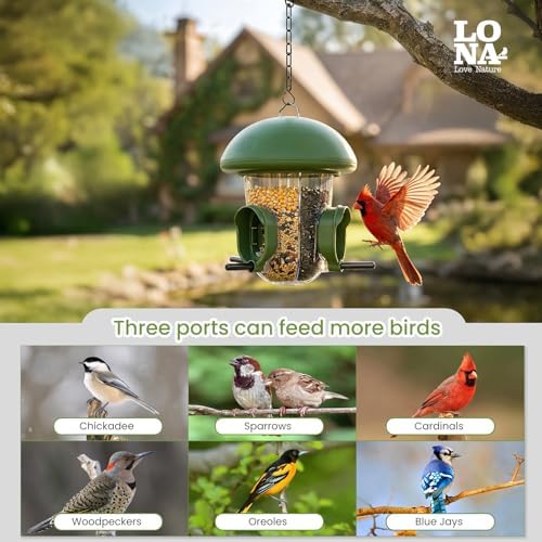 LONA Bird Feeder with 3 Compartments, Dome Bird Feeder for Outdoor, Green