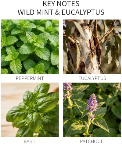 Wild Mint & Eucalyptus Reed Diffuser, 5.07oz(150ml) Essential Oils